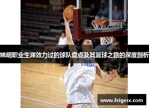 姚明职业生涯效力过的球队盘点及其篮球之路的深度剖析