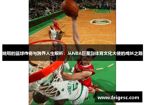 姚明的篮球传奇与跨界人生解析：从NBA巨星到体育文化大使的成长之路