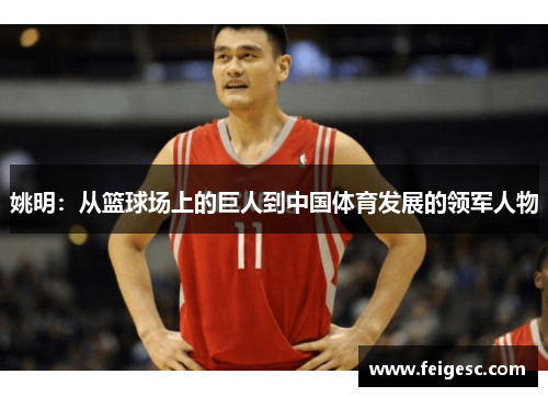 姚明：从篮球场上的巨人到中国体育发展的领军人物