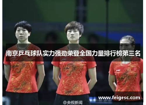 南京乒乓球队实力强劲荣登全国力量排行榜第三名