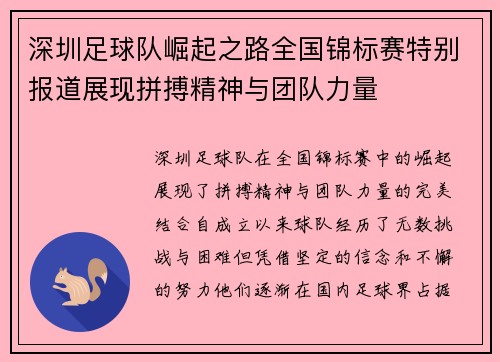 深圳足球队崛起之路全国锦标赛特别报道展现拼搏精神与团队力量
