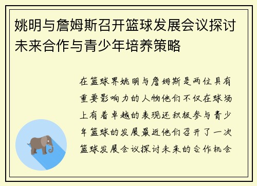 姚明与詹姆斯召开篮球发展会议探讨未来合作与青少年培养策略