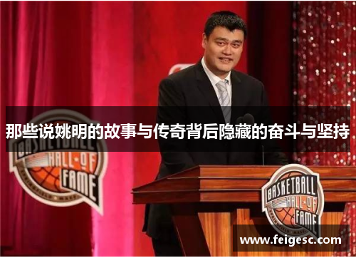 那些说姚明的故事与传奇背后隐藏的奋斗与坚持