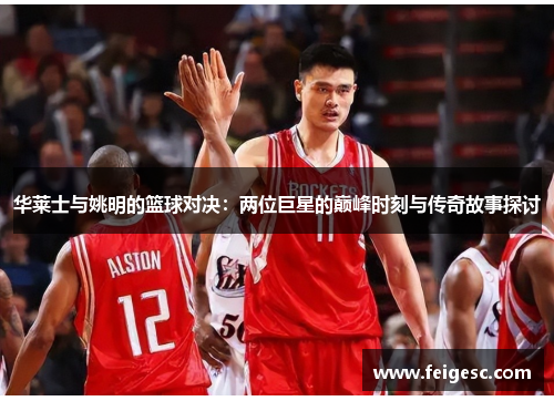 华莱士与姚明的篮球对决：两位巨星的巅峰时刻与传奇故事探讨